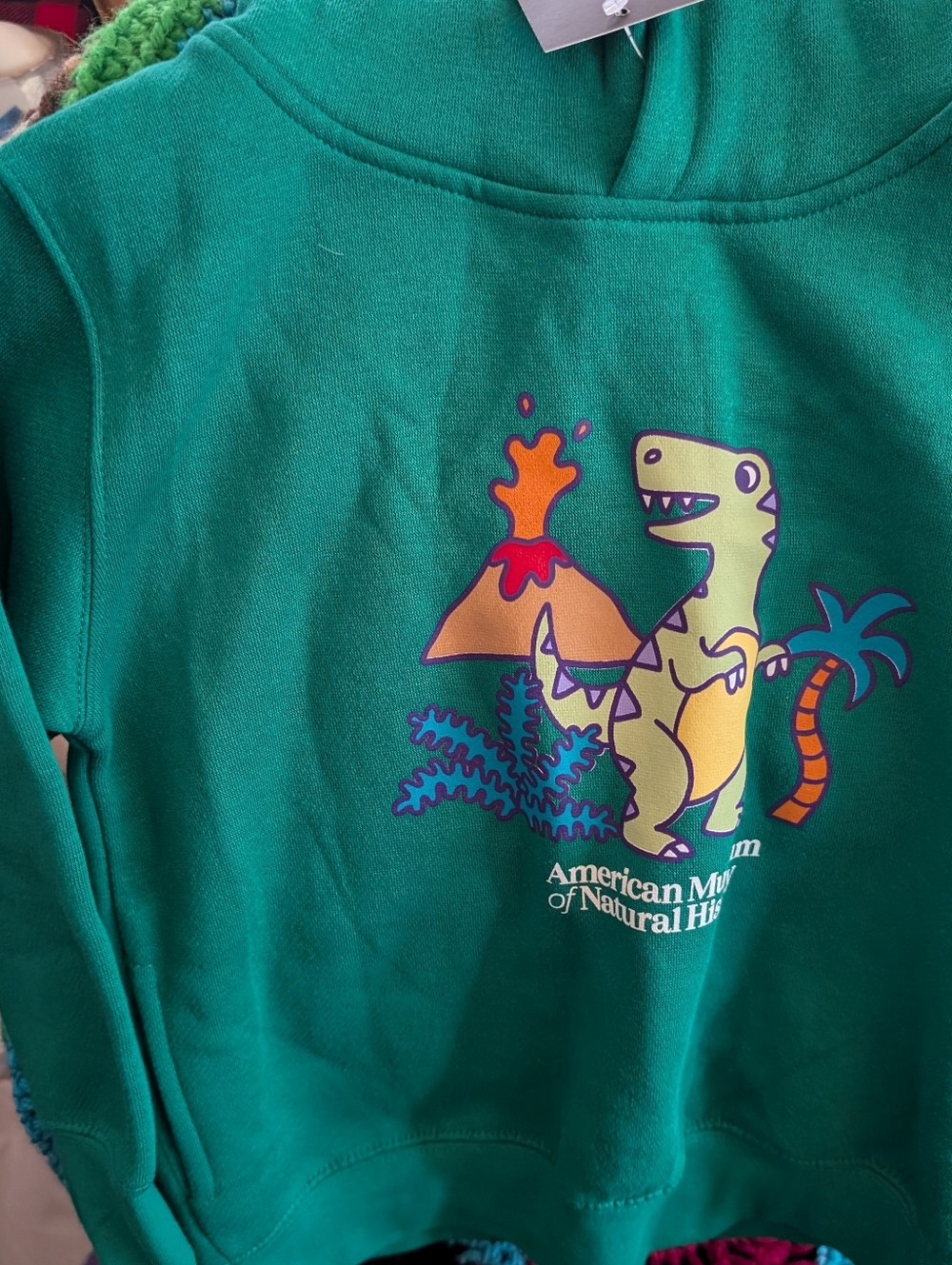 Rabbit Skins Teal Green Dino Hoodie with Volcano Graphic